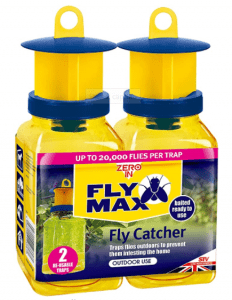 Fly Catcher outdoors