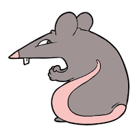 Image of a rat